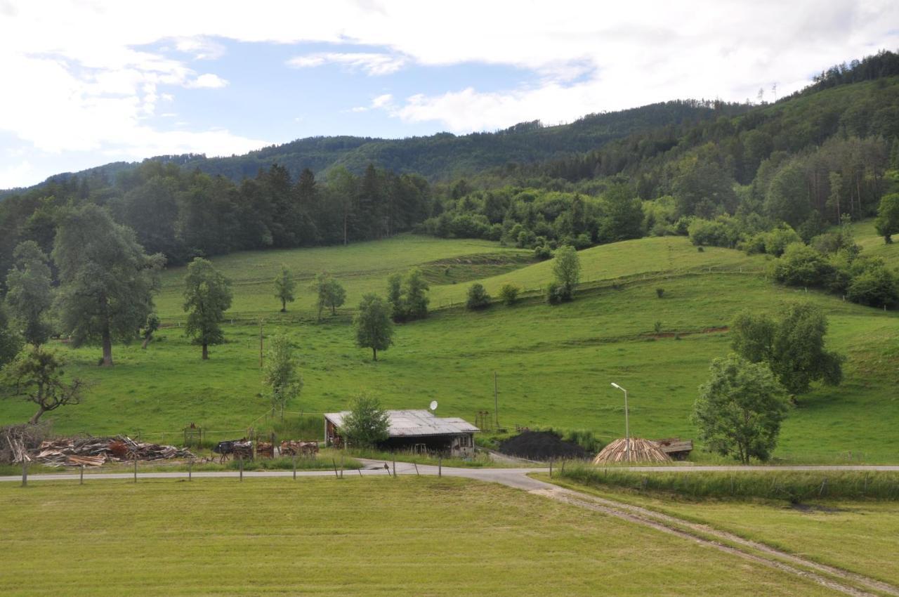 Mostheuriger Steyrdurchbruchalm Leonstein Exteriör bild