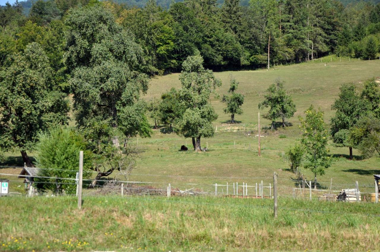 Mostheuriger Steyrdurchbruchalm Leonstein Exteriör bild
